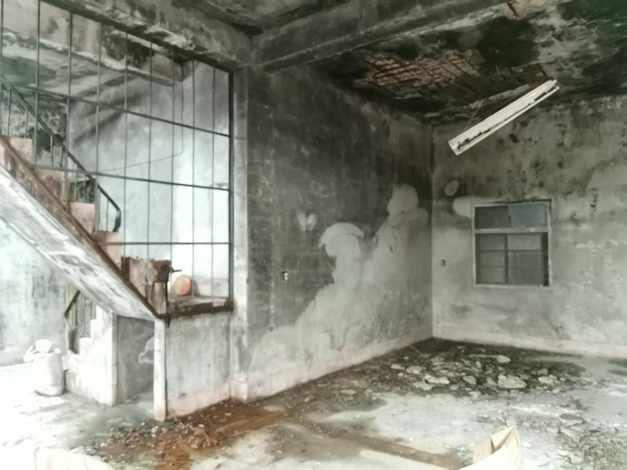 泥作/水泥施工案件圖片