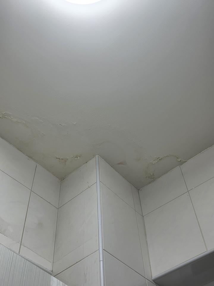 油漆工程案件圖片