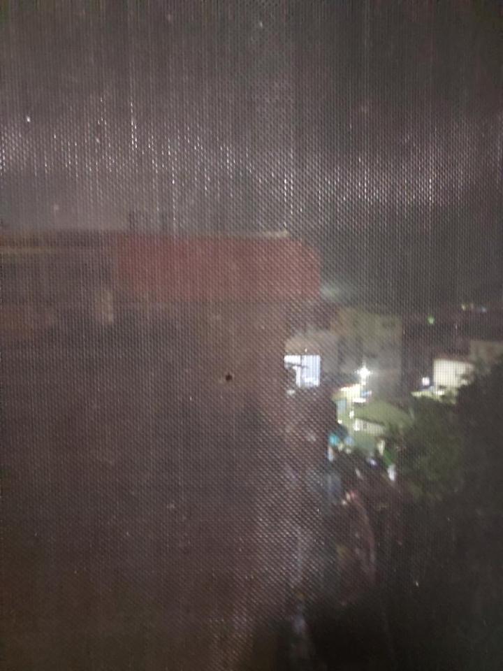 紗窗裝修案件圖片