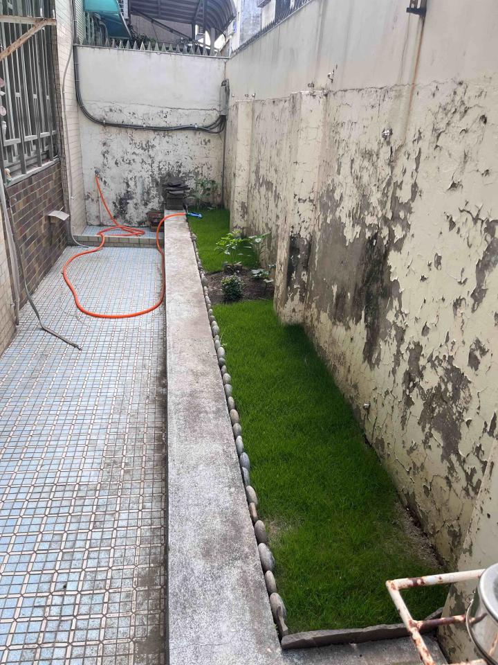 園藝維護案件圖片