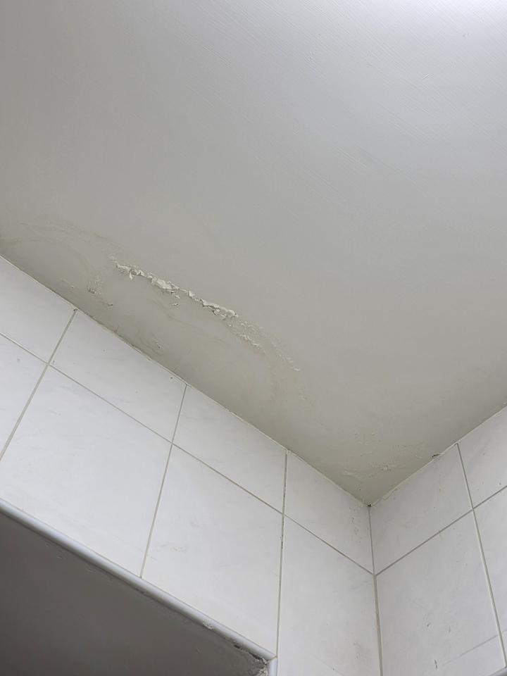 油漆工程案件圖片