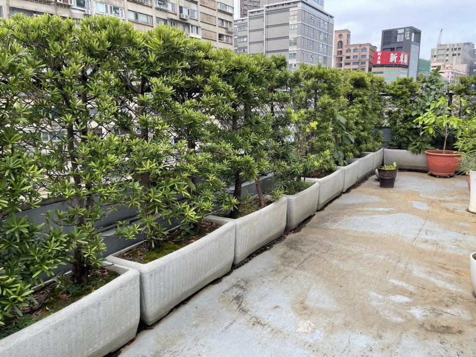 園藝維護案件圖片