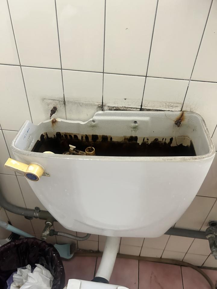 馬桶裝修案件圖片