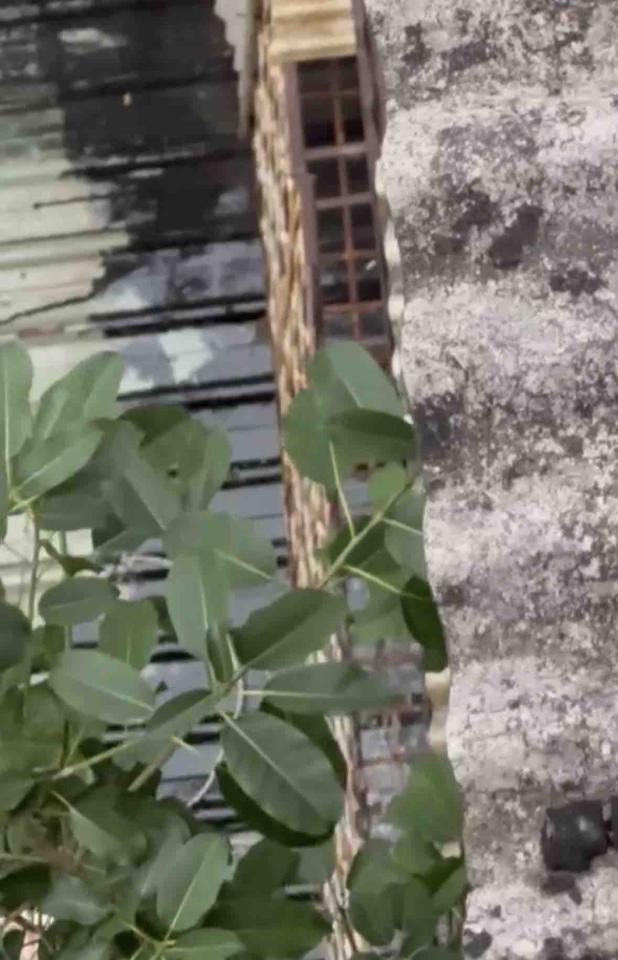 水管維修案件圖片