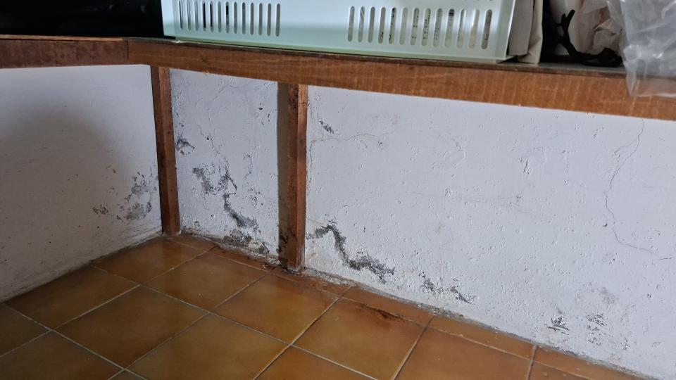 壁癌處理案件圖片