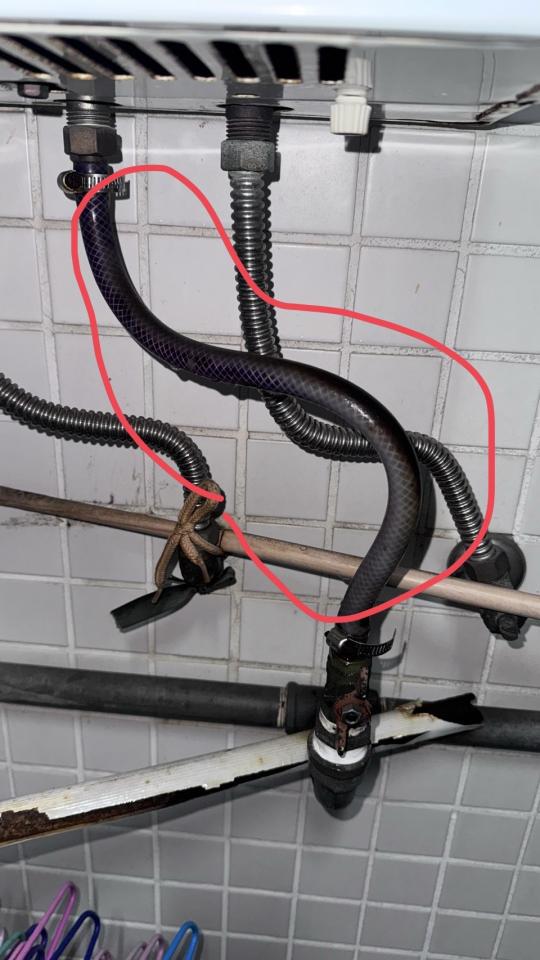 瓦斯管線更換案件圖片