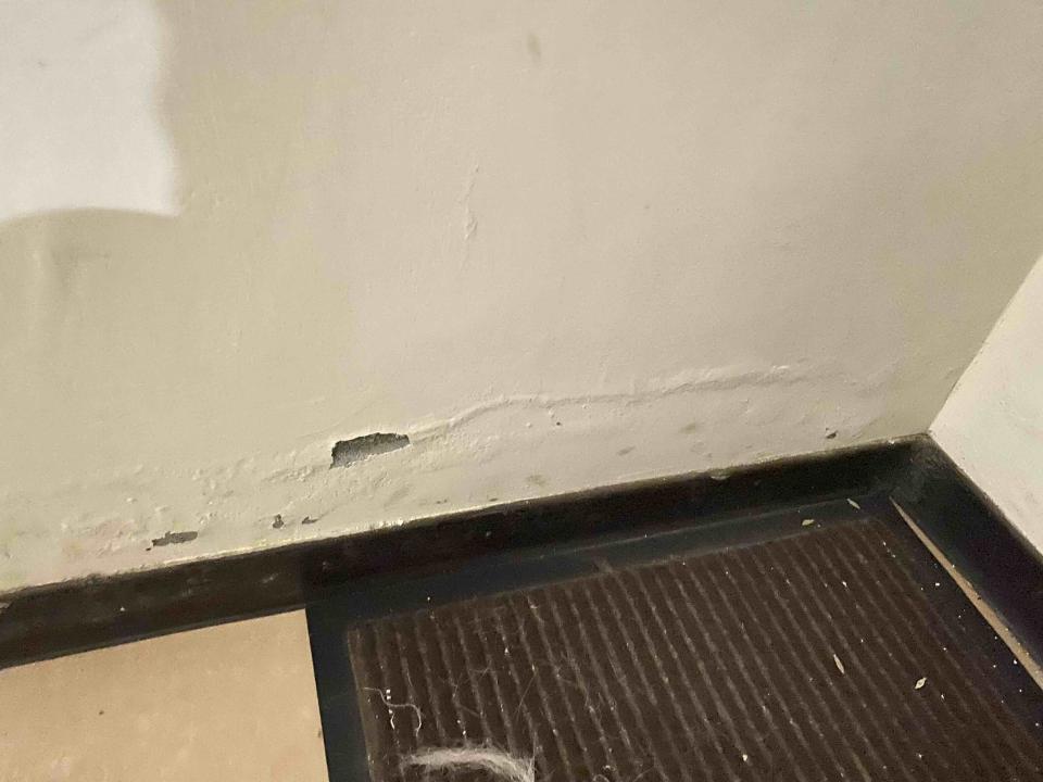 油漆工程案件圖片