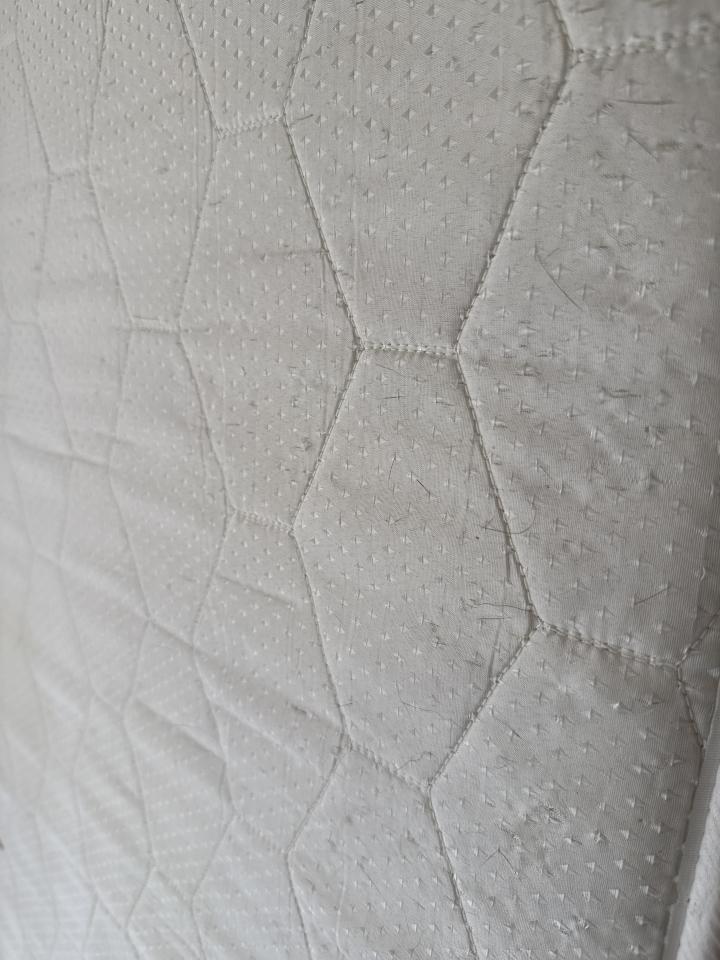 沙發清潔案件圖片