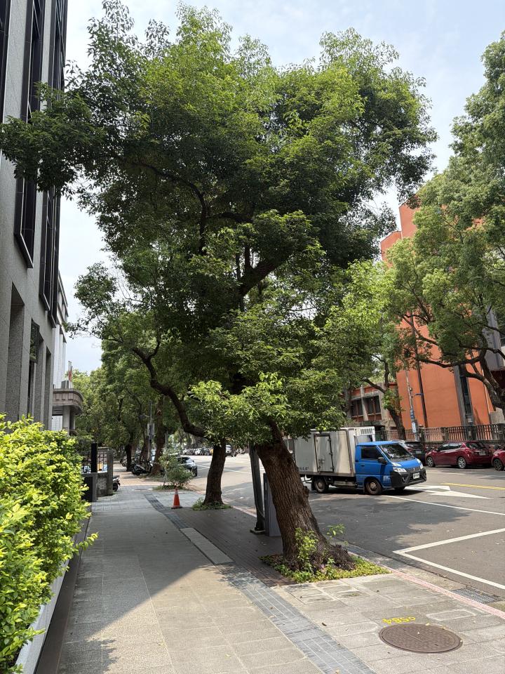 園藝維護案件圖片