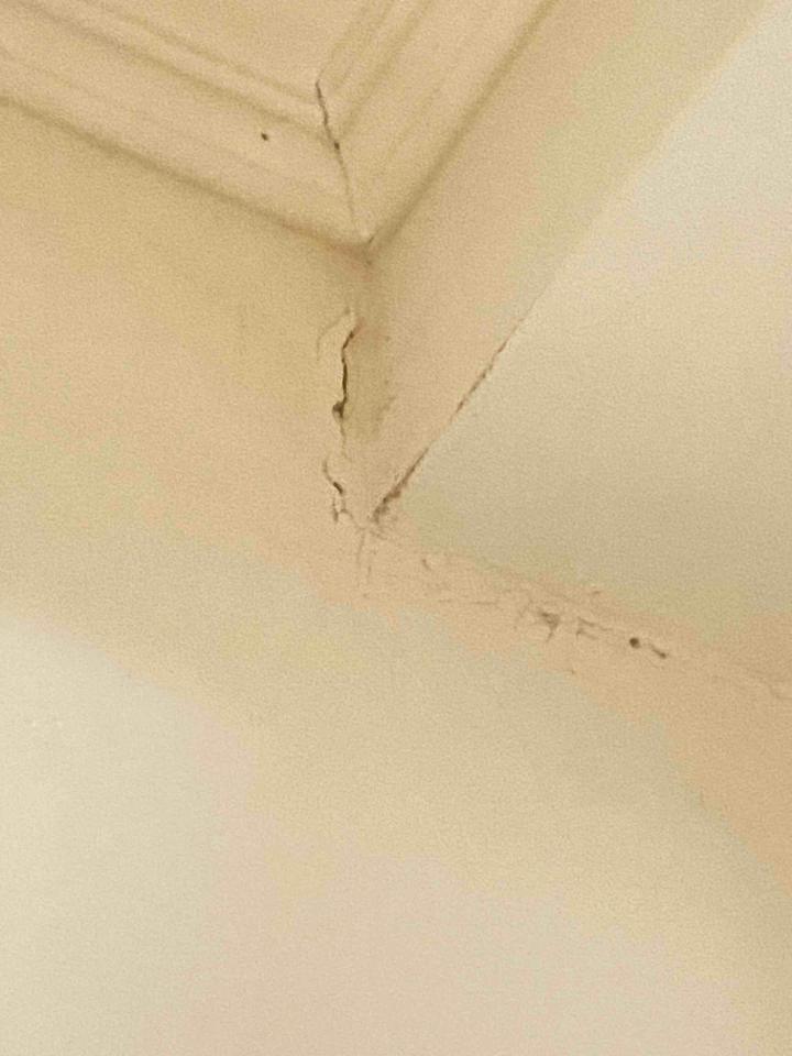 油漆工程案件圖片