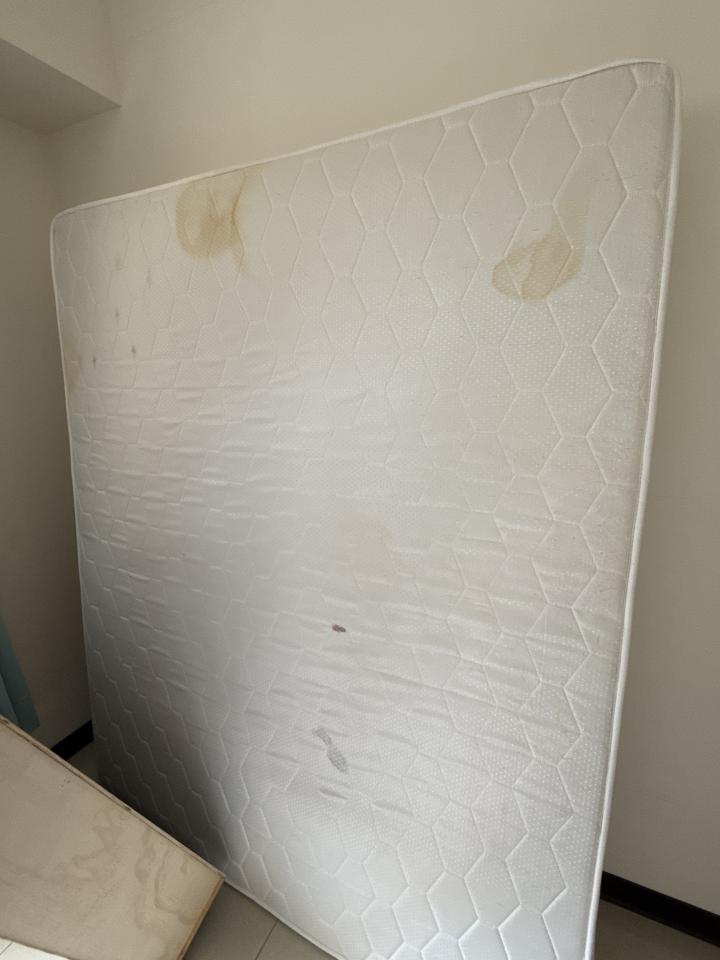 沙發清潔案件圖片