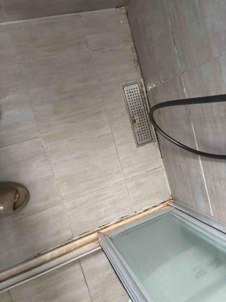 矽利康工程案件圖片