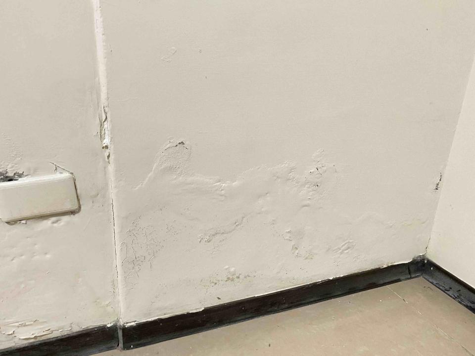 油漆工程案件圖片