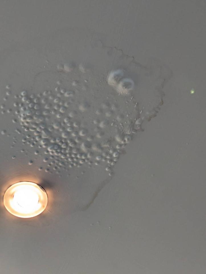 漏水處理案件圖片