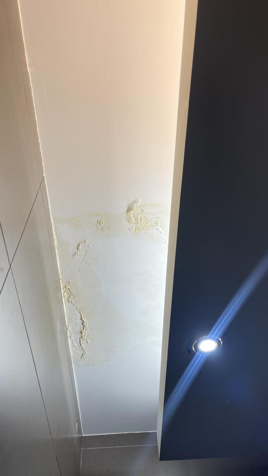 浴室翻新案件圖片