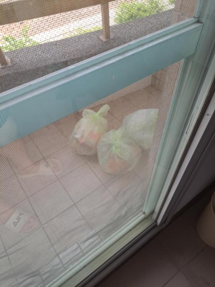 代收垃圾案件圖片