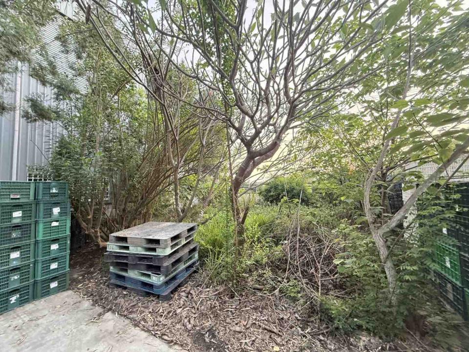 園藝維護案件圖片