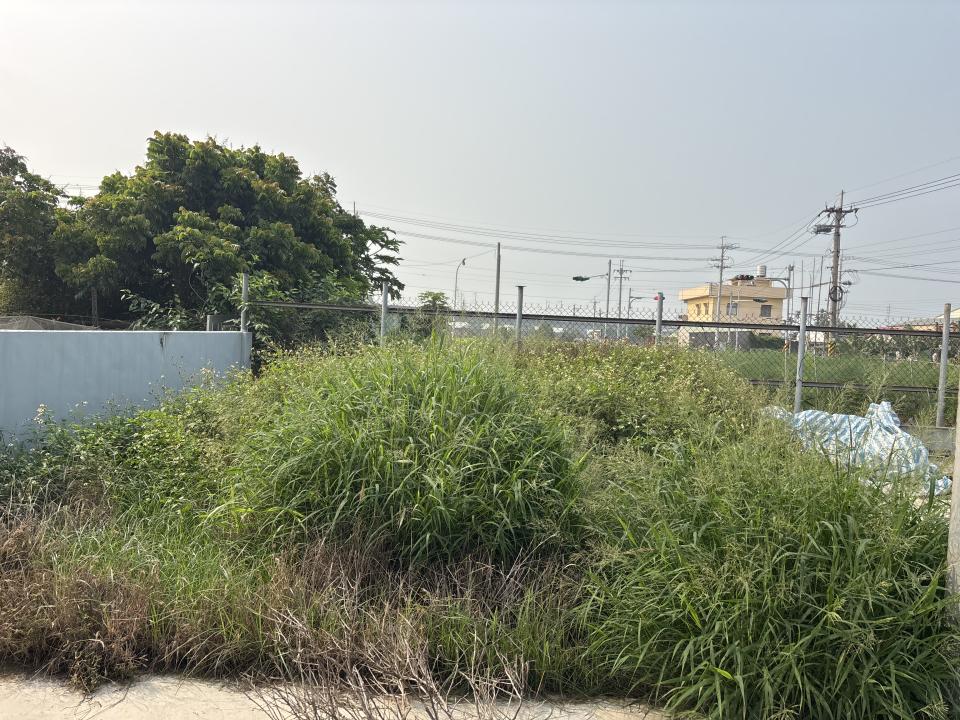 園藝維護案件圖片