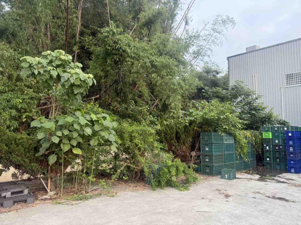 園藝維護案件圖片