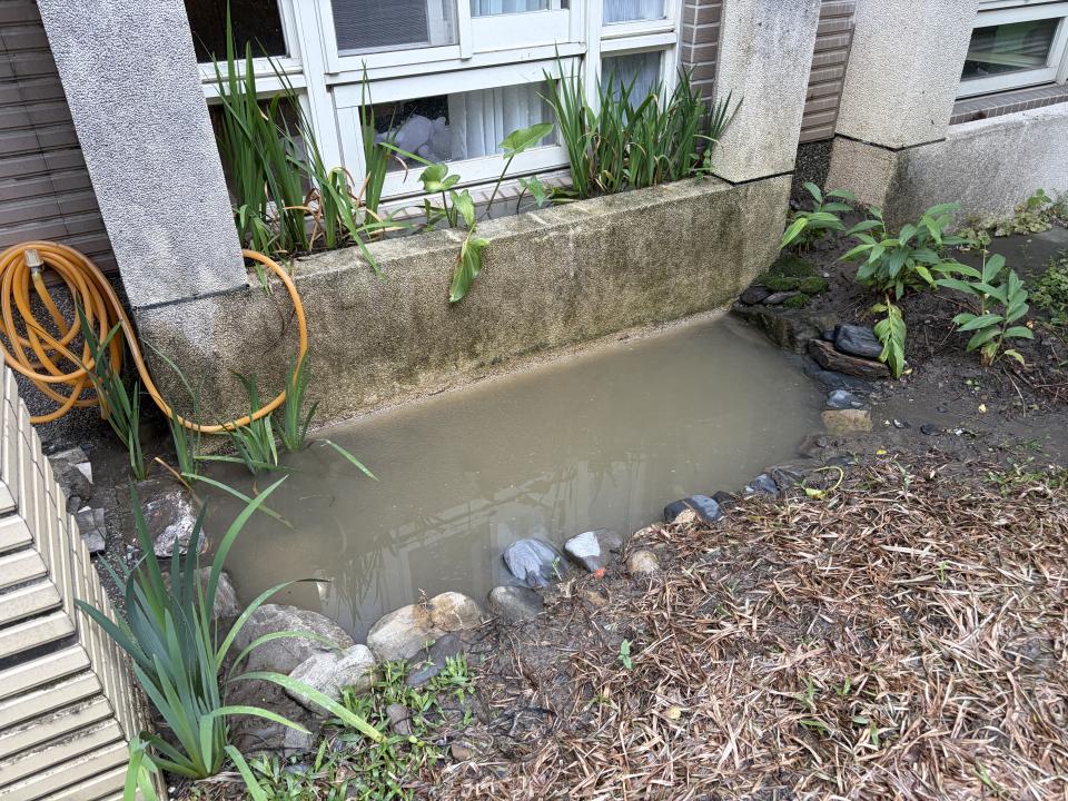 電線裝修案件圖片