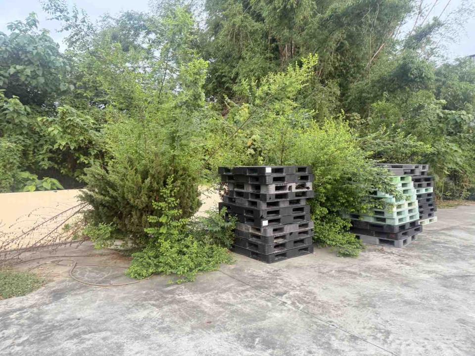 園藝維護案件圖片