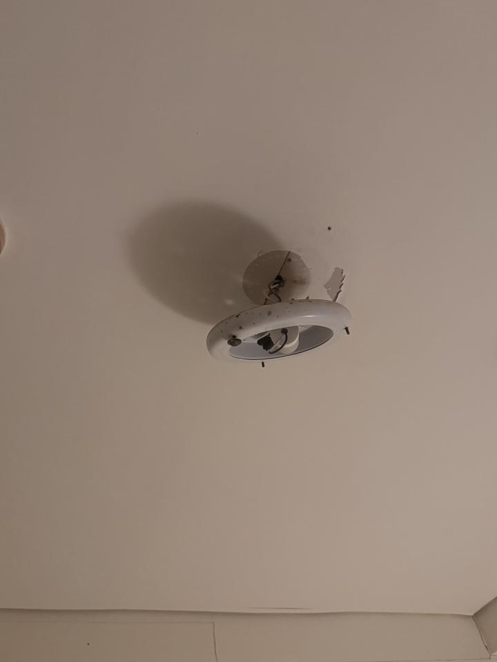 燈具安裝案件圖片