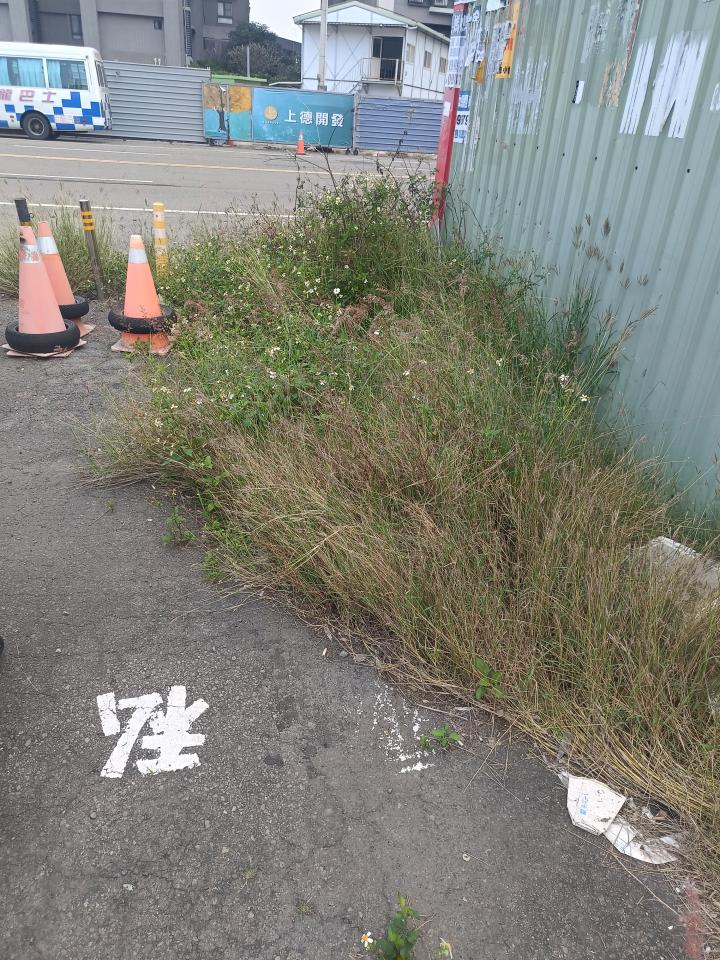 園藝維護案件圖片