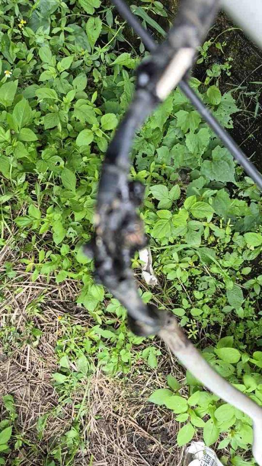 電線裝修案件圖片