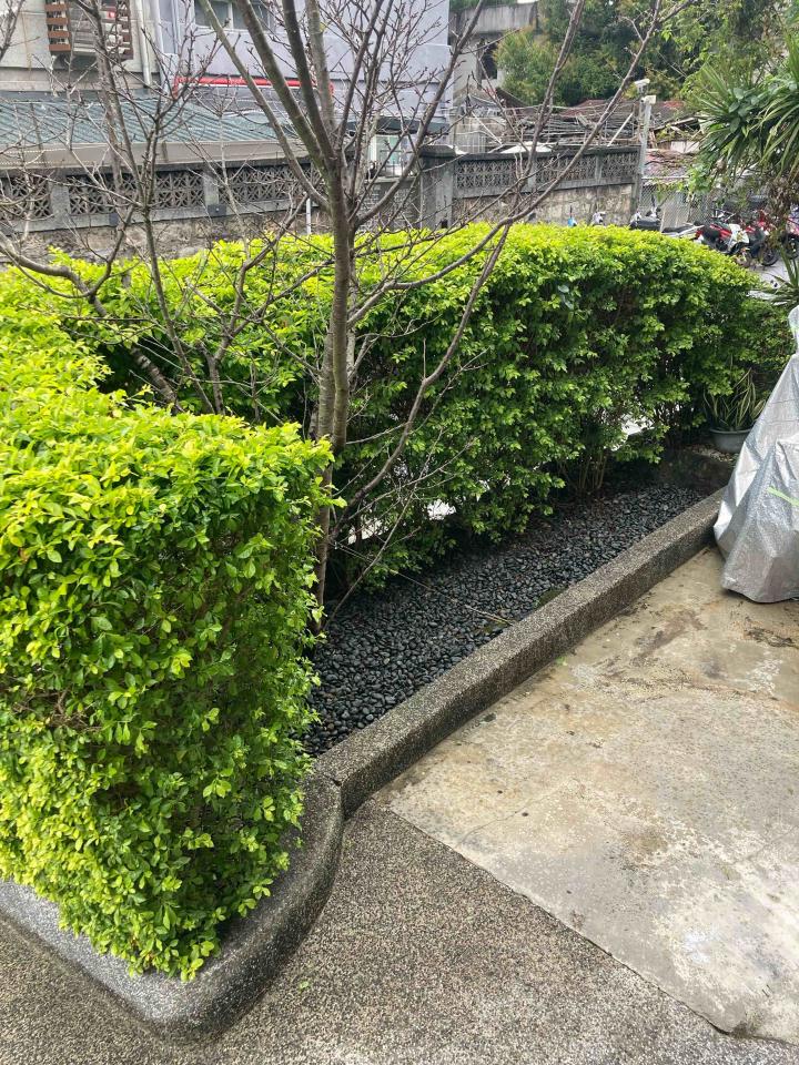 園藝維護案件圖片