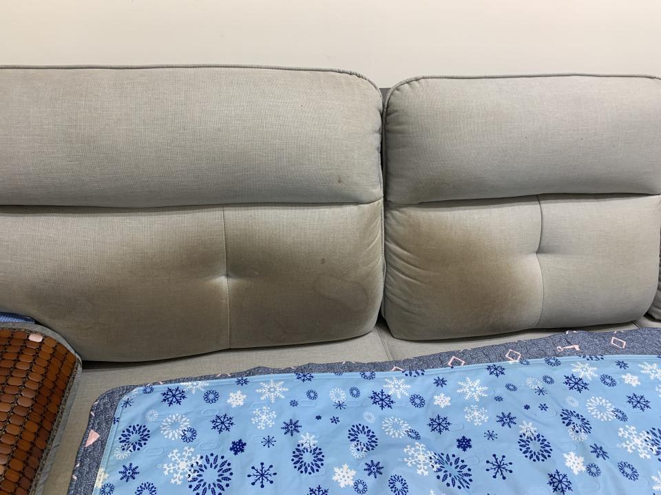 沙發清潔案件圖片
