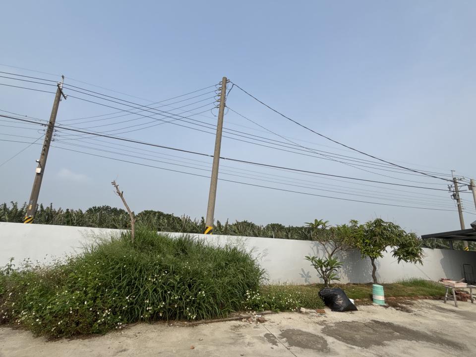 園藝維護案件圖片