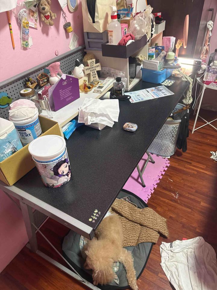 大型垃圾回收案件圖片