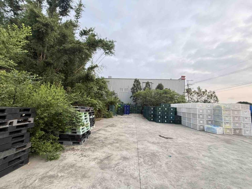 園藝維護案件圖片