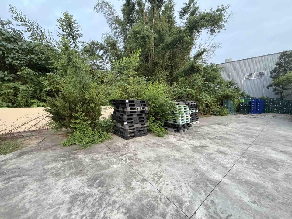 園藝維護案件圖片