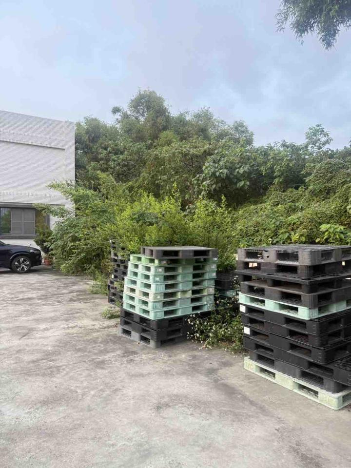 園藝維護案件圖片