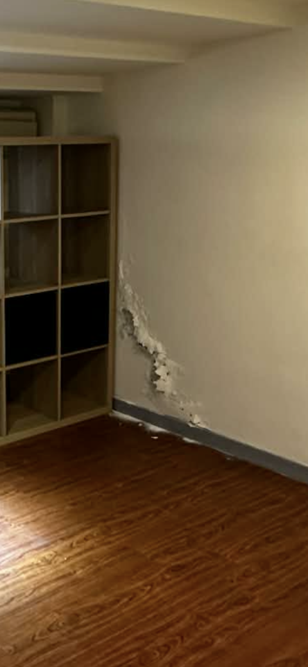 壁癌處理案件圖片