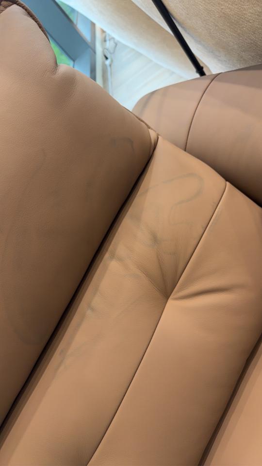 沙發清潔案件圖片