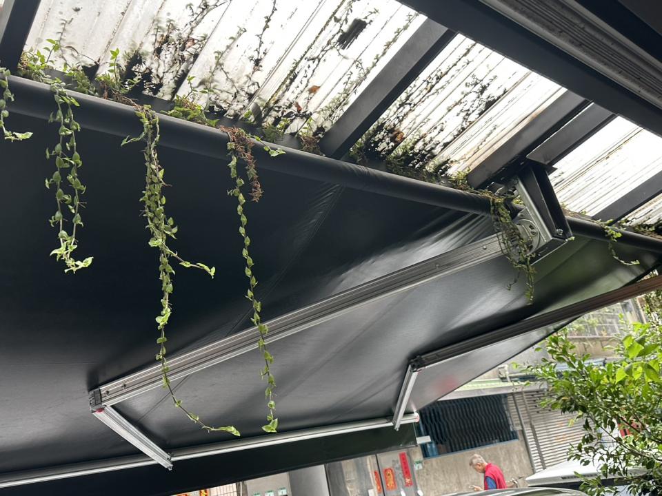 園藝維護案件圖片