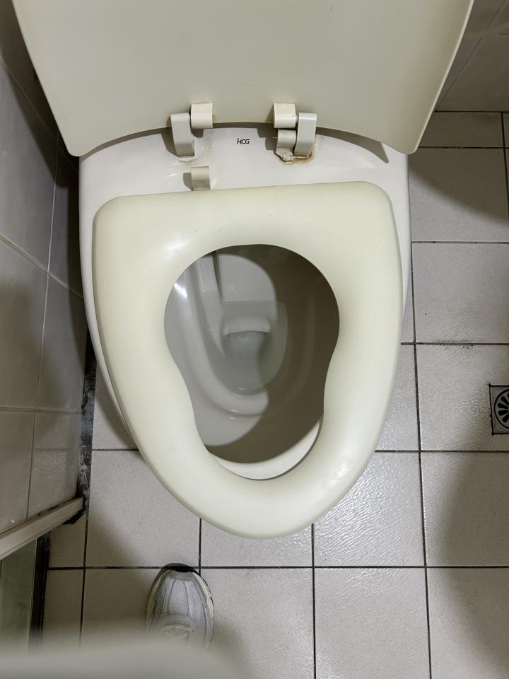 馬桶裝修案件圖片