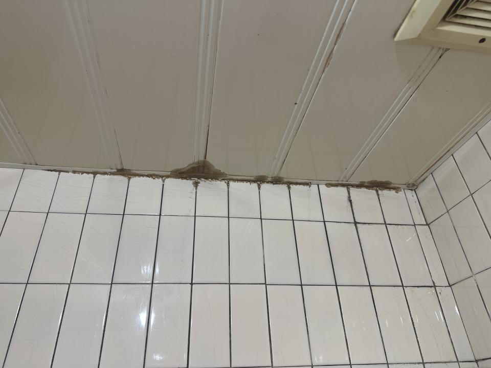 漏水鑑定案件圖片