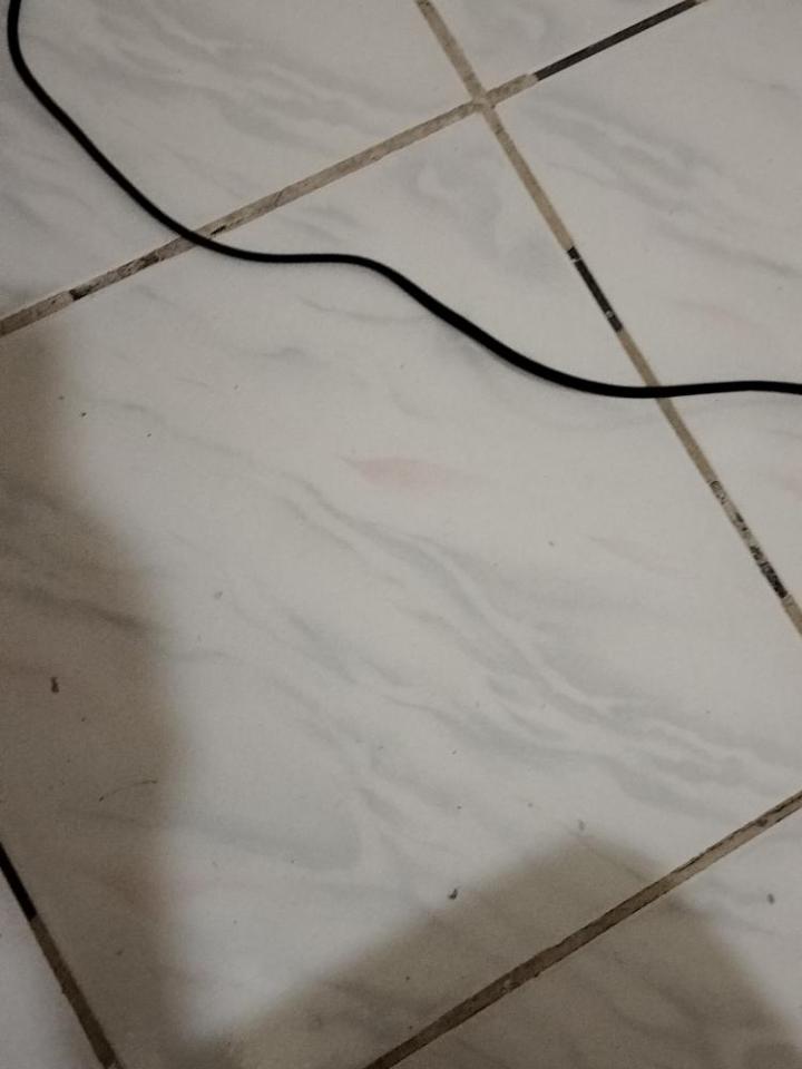 地板施工案件圖片