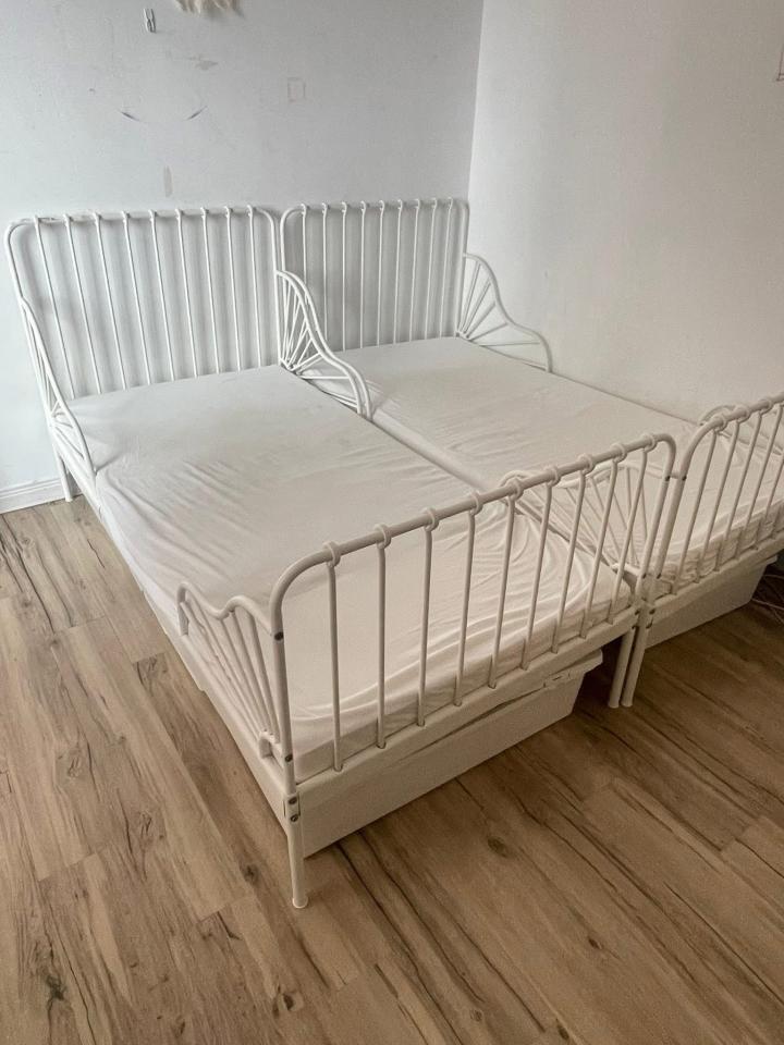 載貨運輸服務案件圖片