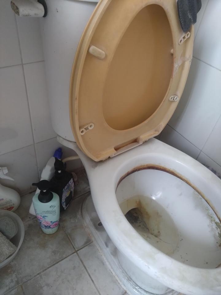 馬桶裝修案件圖片