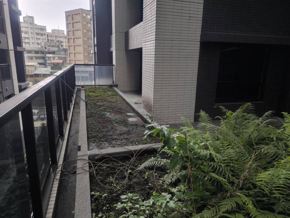 園藝設計案件圖片