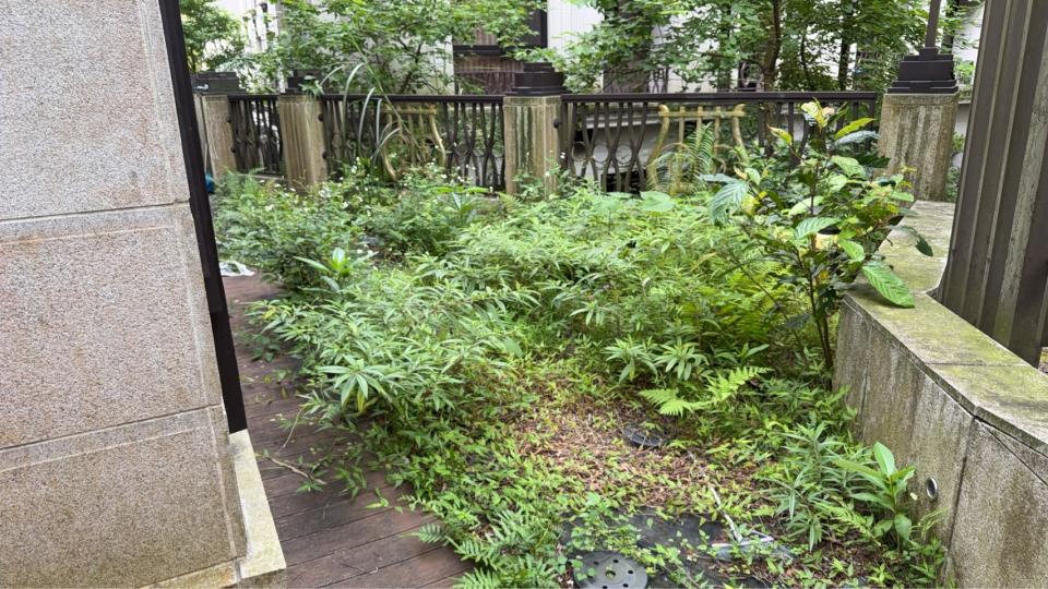 園藝維護案件圖片