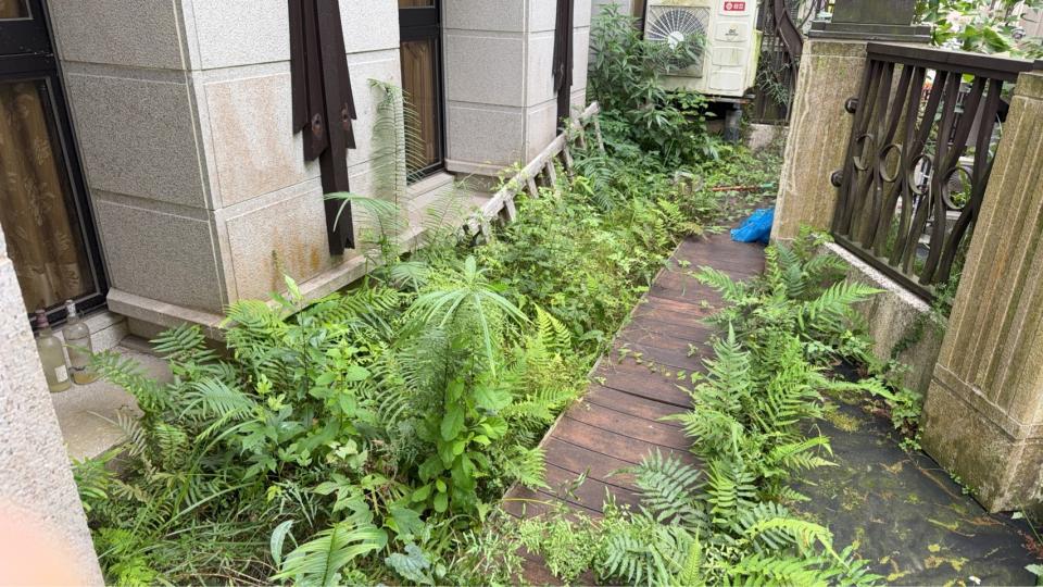 園藝維護案件圖片