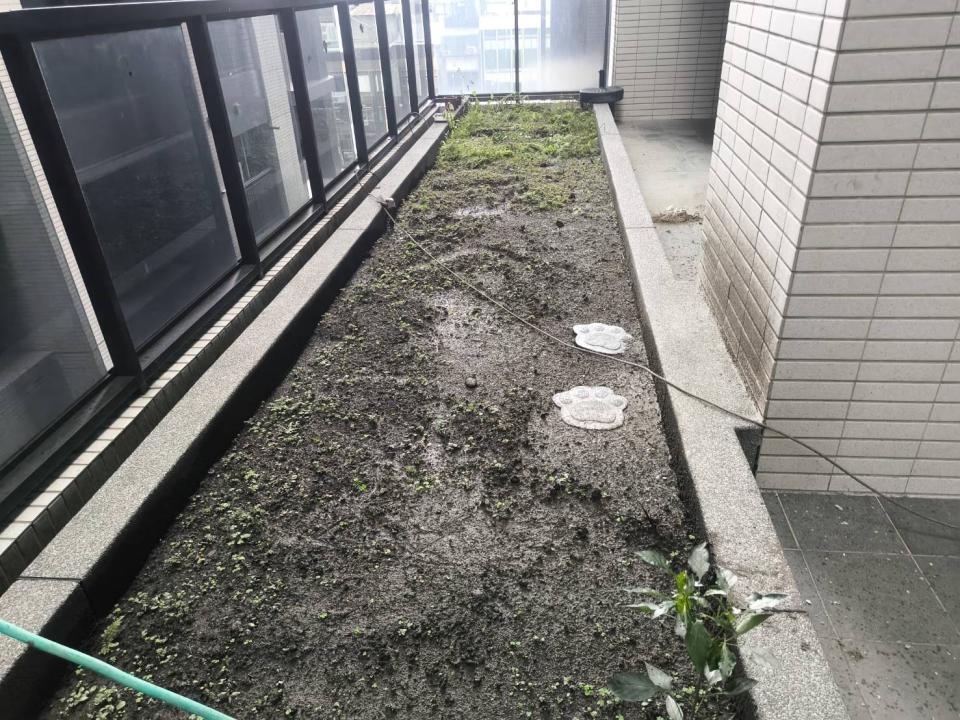 園藝設計案件圖片