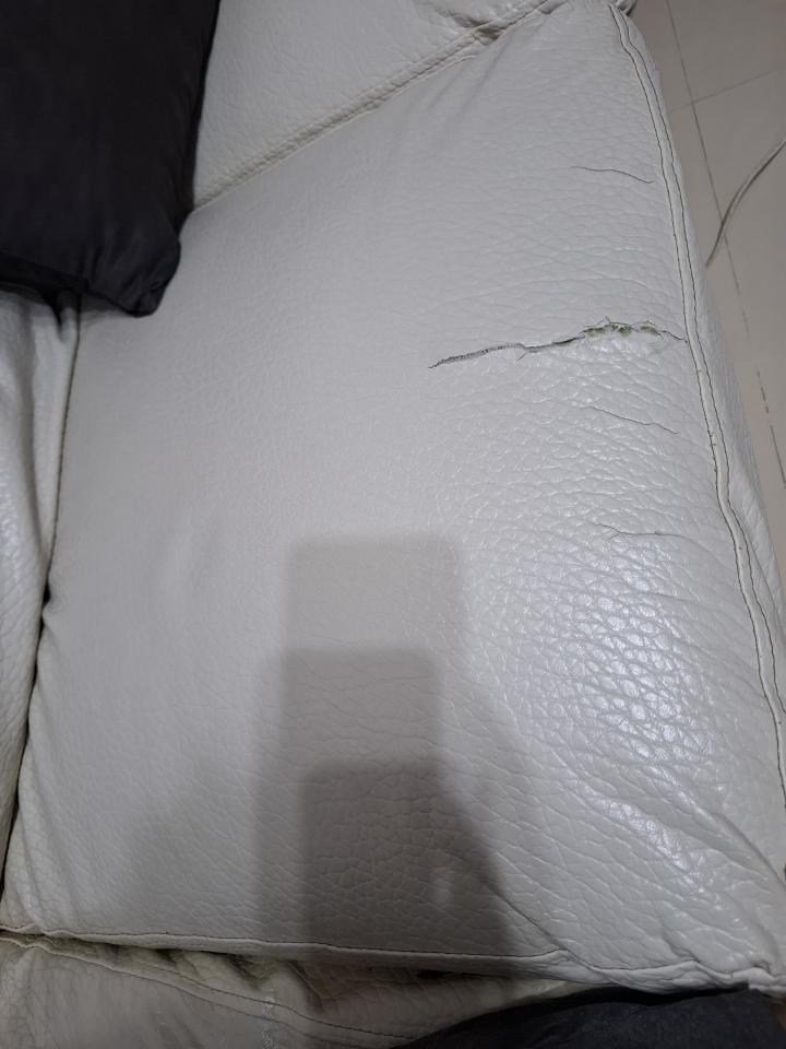 沙發修理案件圖片