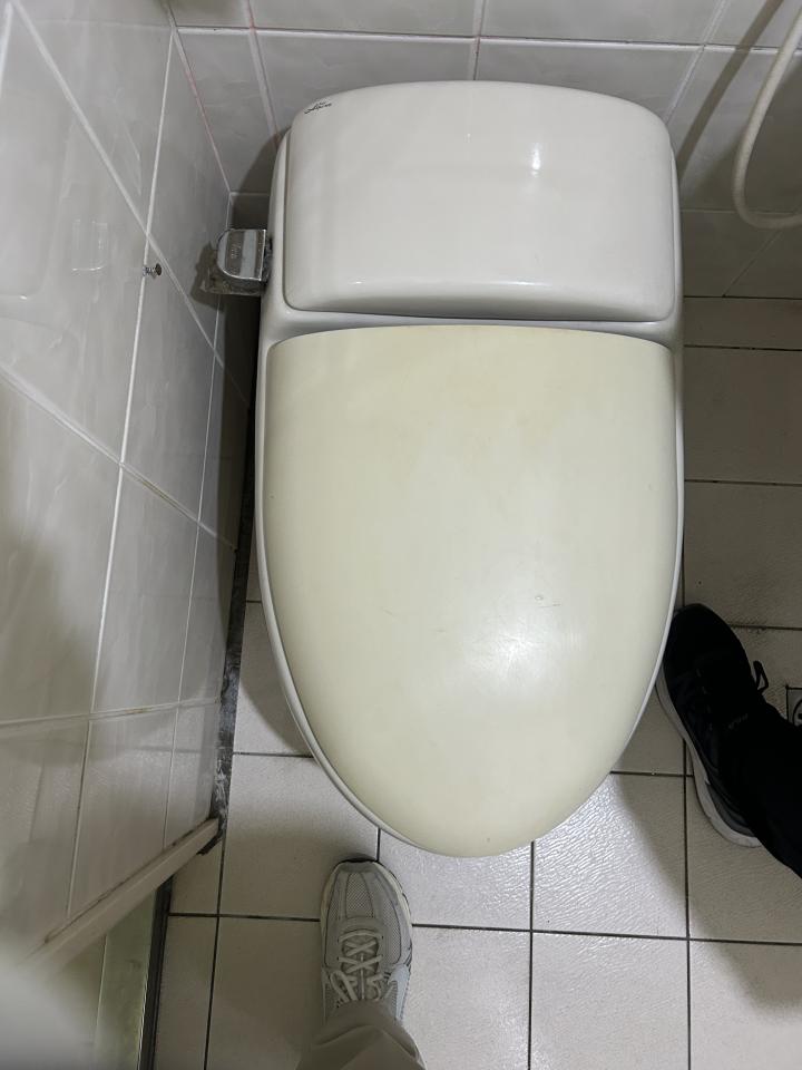 馬桶裝修案件圖片