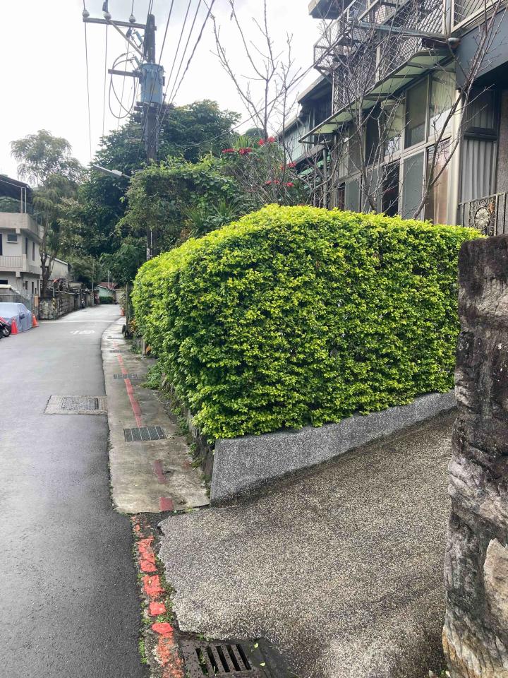 園藝維護案件圖片